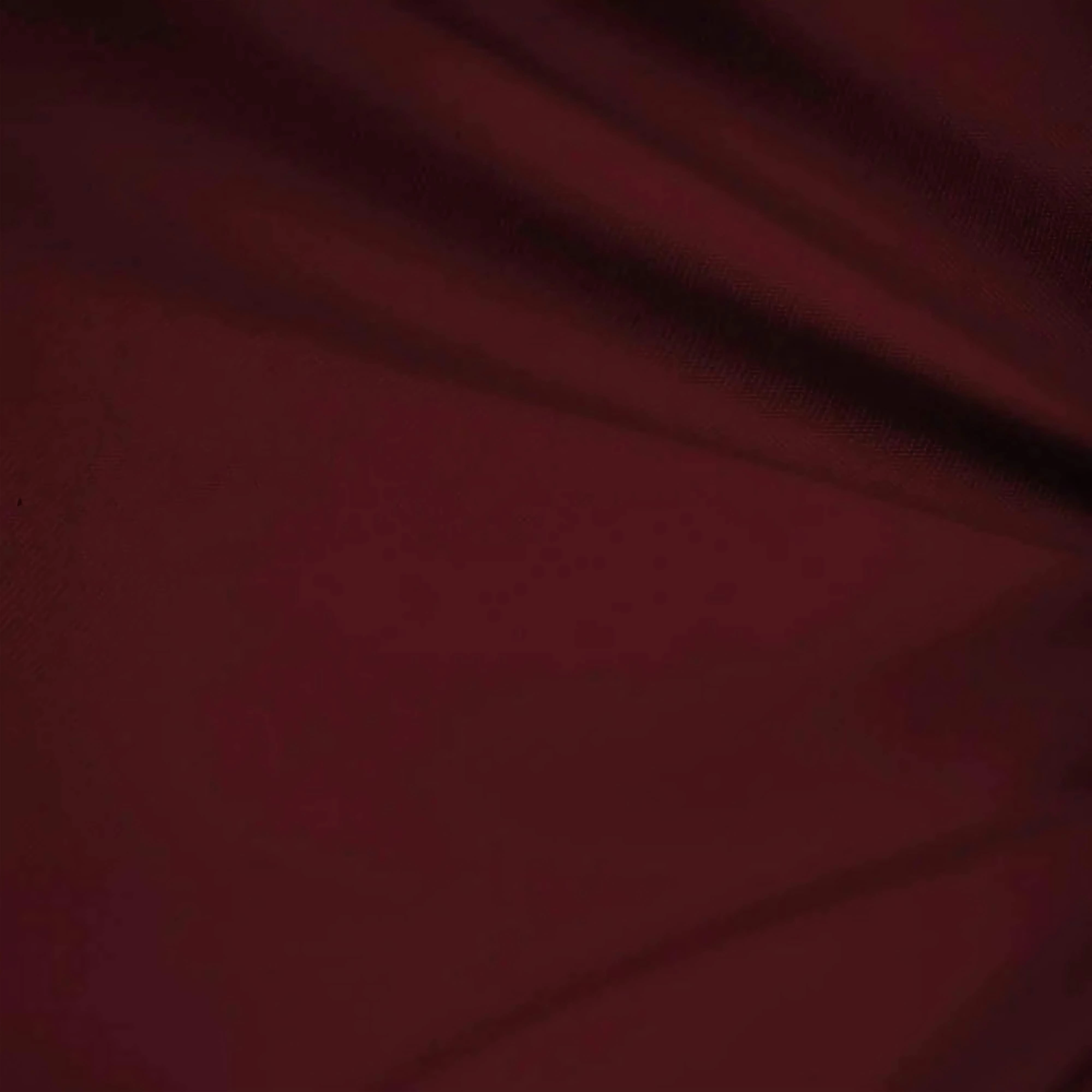 Men's Burgundy Regular Fit Everyday Blazer